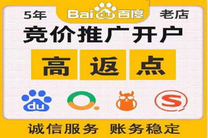 某某sem代运营公司：精准投放的背后策略